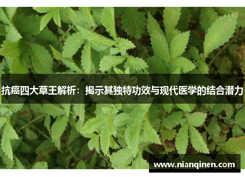 抗癌四大草王解析：揭示其独特功效与现代医学的结合潜力