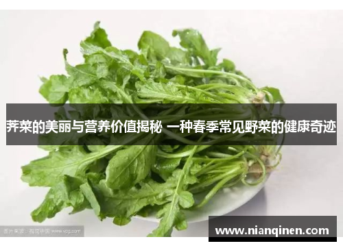 荠菜的美丽与营养价值揭秘 一种春季常见野菜的健康奇迹